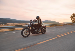 Moto Standard